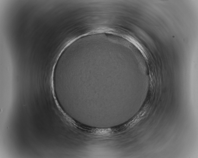 X0000096991055200802081424