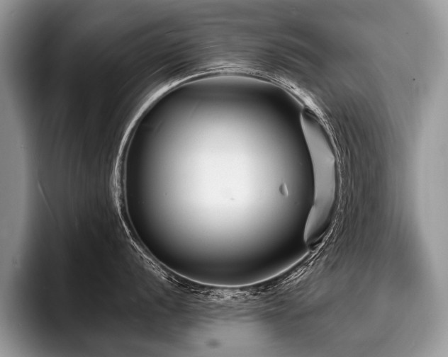 X0000096991056200802081424