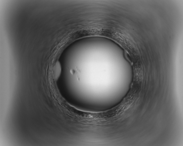X0000096991057200802081423