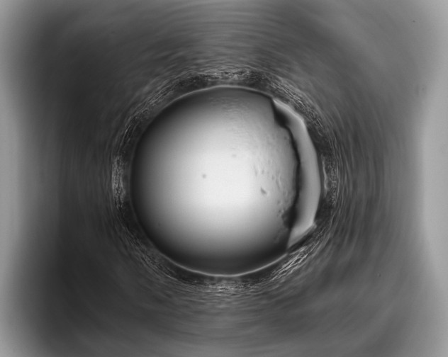 X0000096991058200802081423