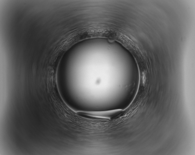 X0000096991059200802081423