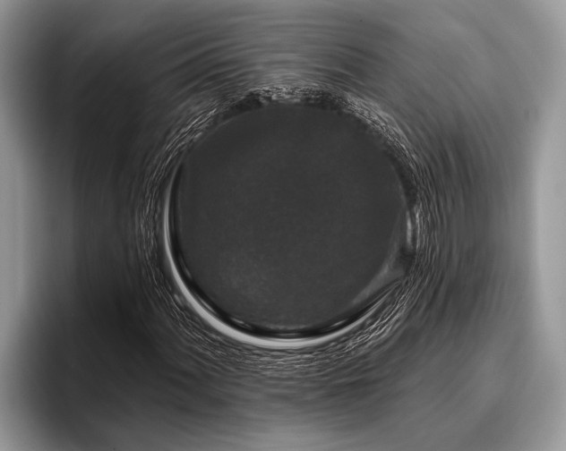 X0000096991060200802081423