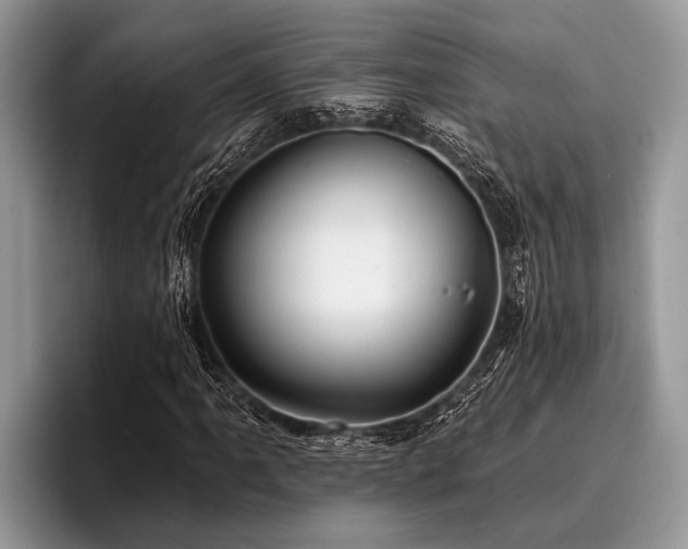 X0000096991061200802081423