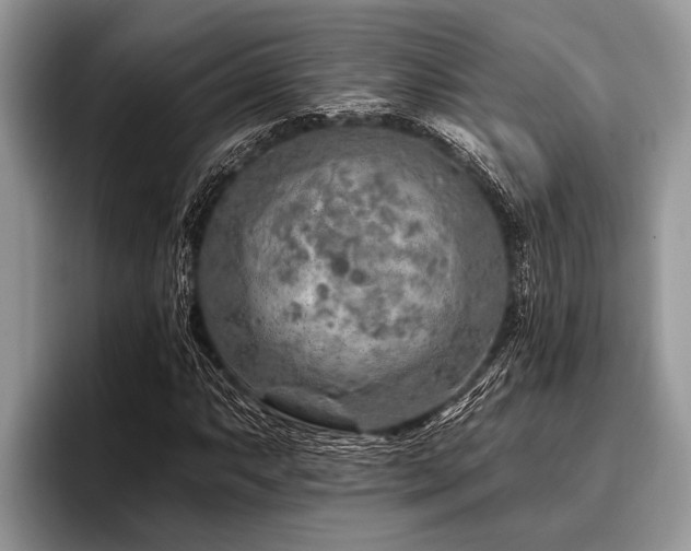 X0000096991063200802081423