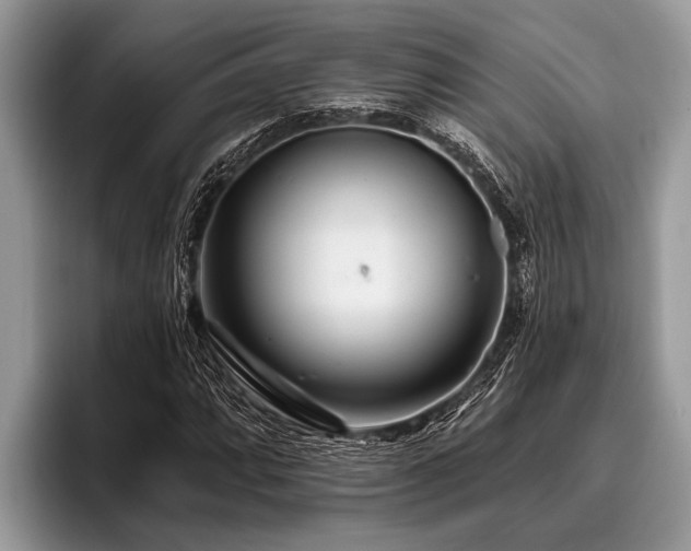 X0000096991064200802081423
