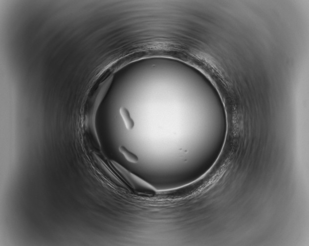 X0000096991065200802081423