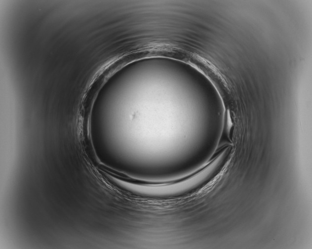 X0000096991066200802081423