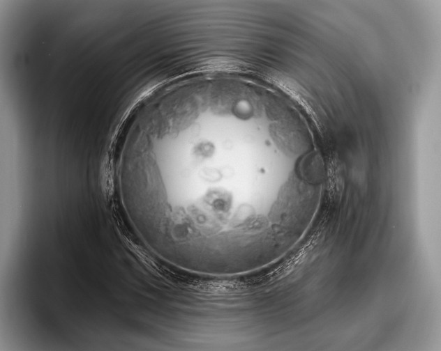 X0000096991067200802081423