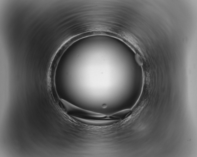 X0000096991068200802081423