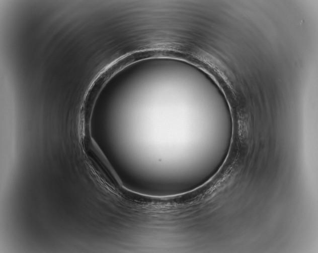 X0000096991069200802081423