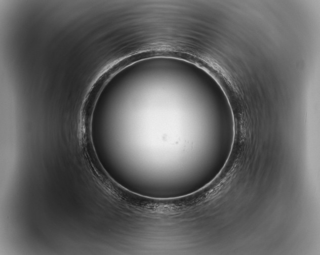 X0000096991070200802081423