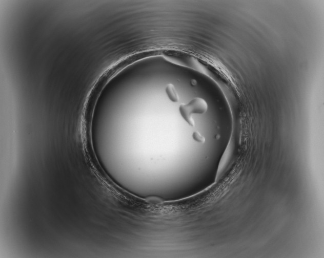 X0000096991072200802081423