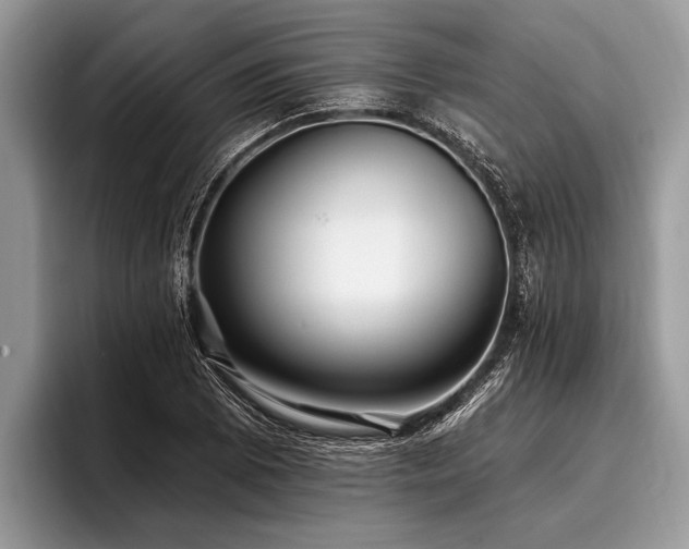 X0000096991073200802081423