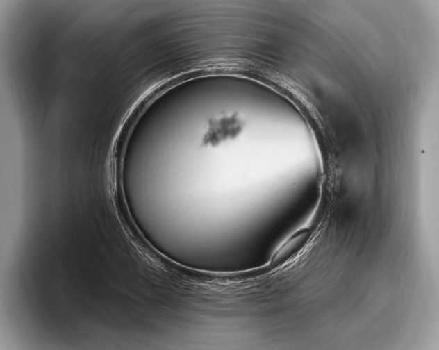 X0000096991075200802081423