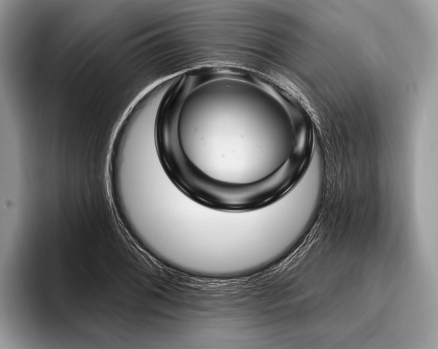 X0000096991076200802081423