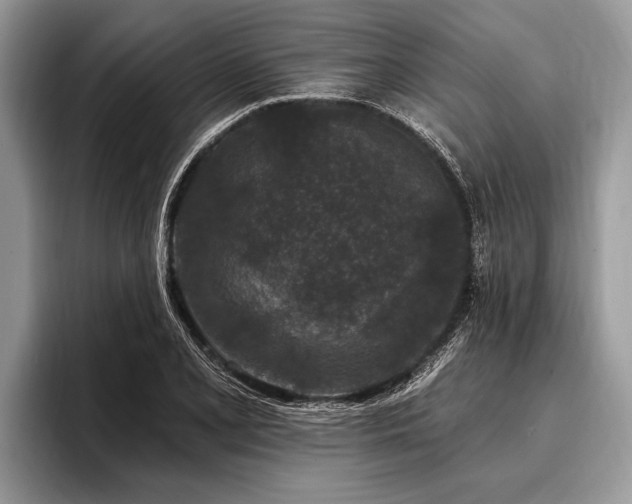 X0000096991077200802081423