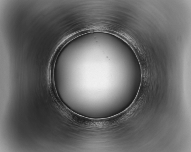 X0000096991078200802081423