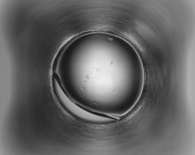 X0000096991079200802081423