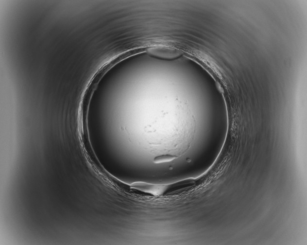 X0000096991080200802081423