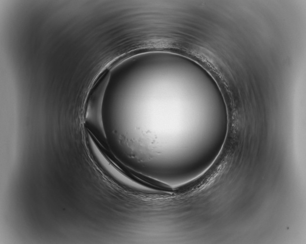 X0000096991081200802081423