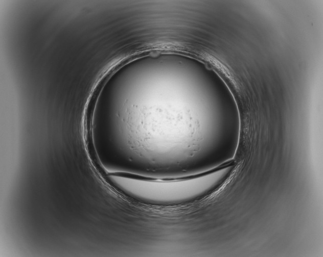 X0000096991082200802081423