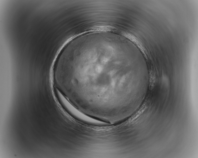 X0000096991083200802081423