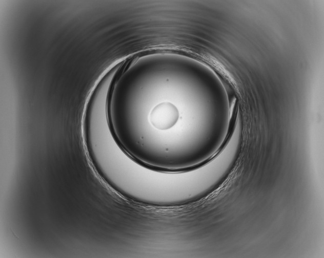 X0000096991084200802081423