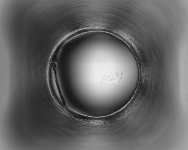 X0000096991085200802081423
