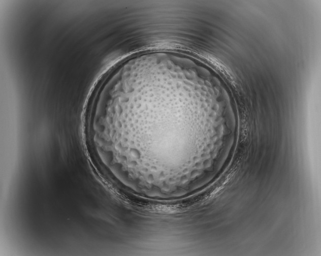 X0000096991086200802081423