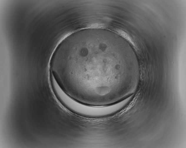 X0000096991087200802081423