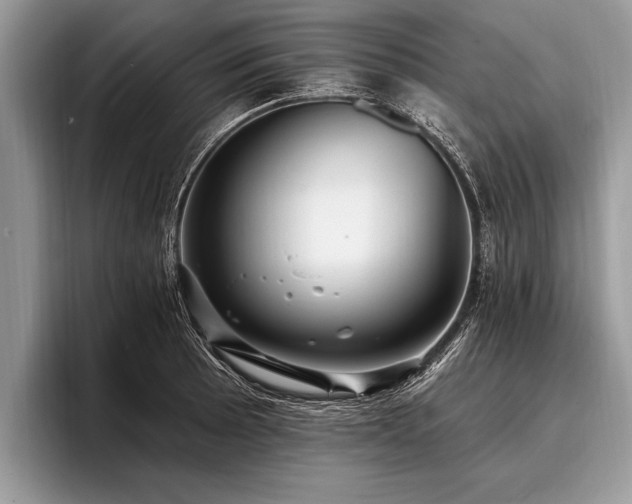 X0000096991089200802081423