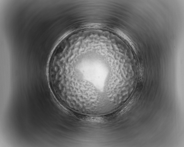 X0000096991090200802081423