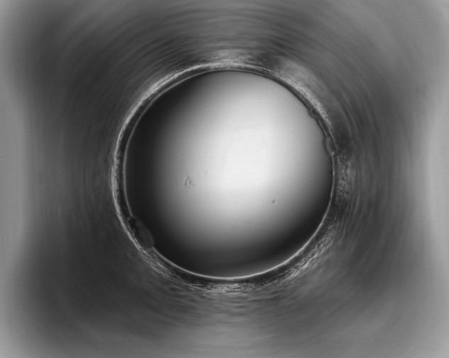 X0000096991093200802081423