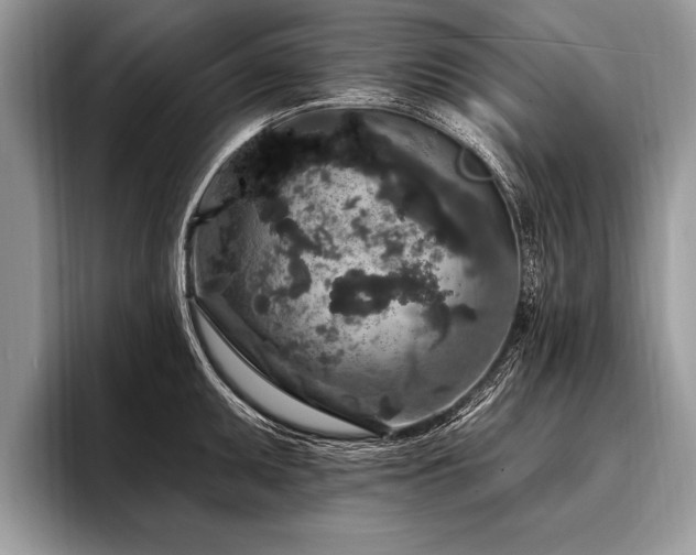 X0000096991095200802081423