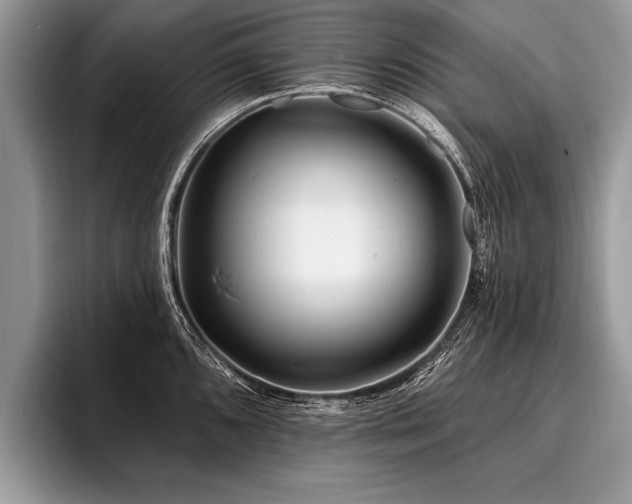 X0000096991096200802081423