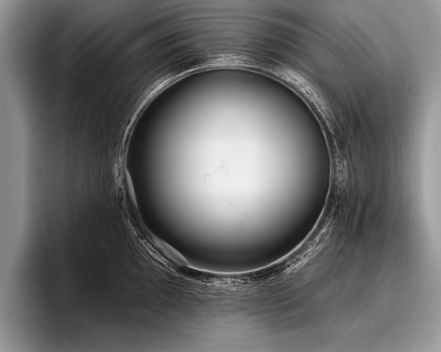 X0000096991097200802081423