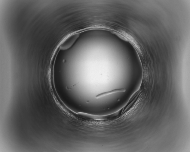 X0000096991100200802081423