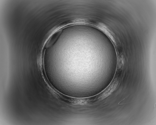 X0000096991101200802081423