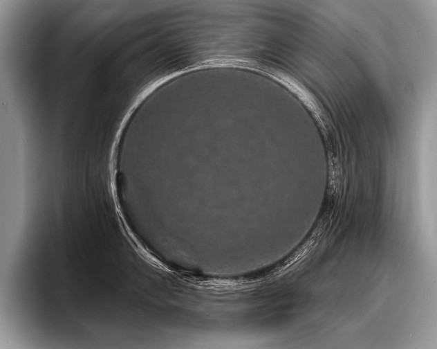 X0000096991102200802081423