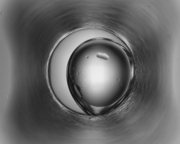 X0000096991103200802081423