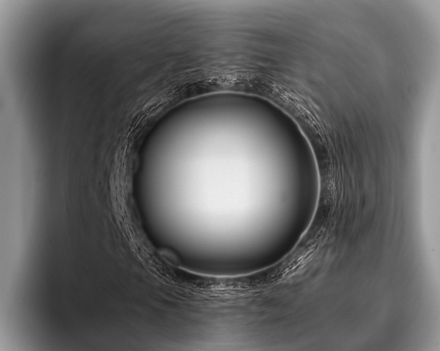 X0000096991105200802081422