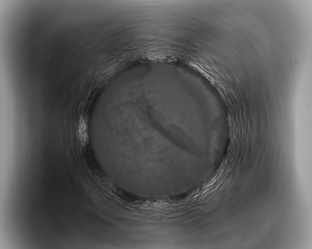X0000096991106200802081422