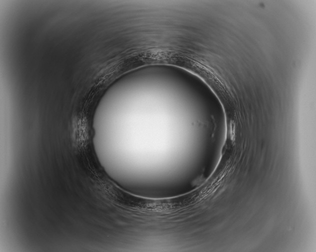 X0000096991107200802081422