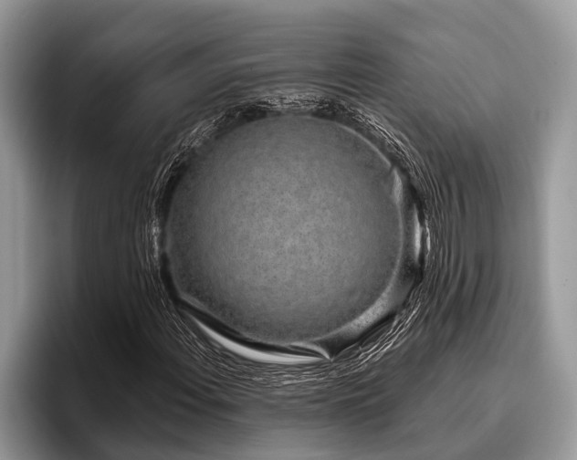 X0000096991108200802081422