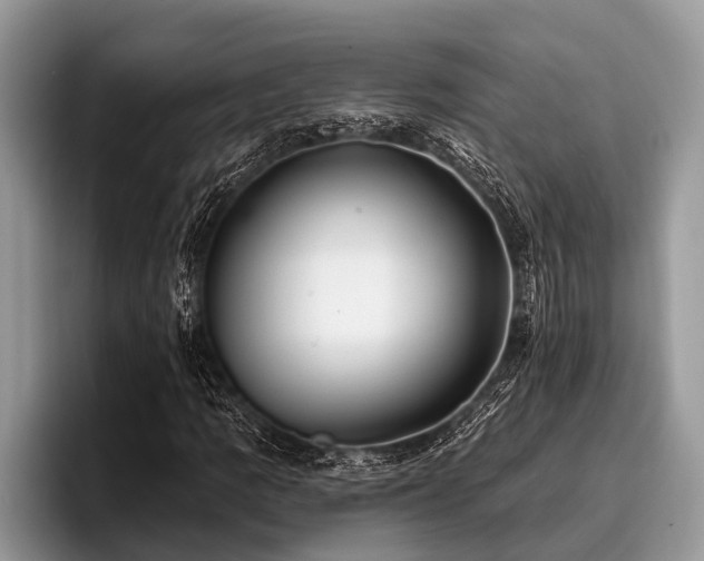 X0000096991109200802081422