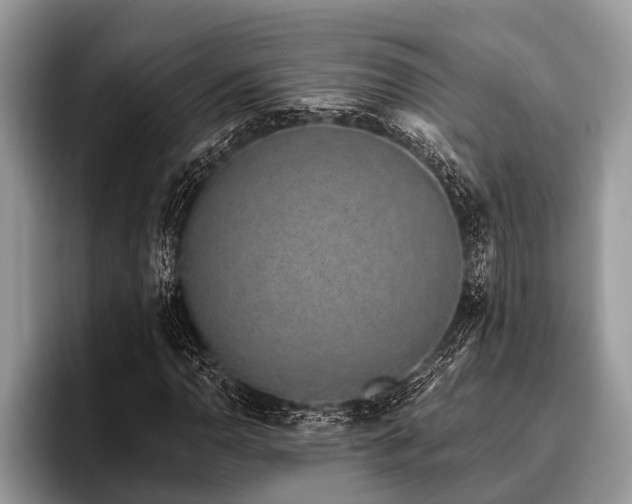 X0000096991110200802081422