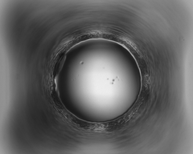 X0000096991111200802081422