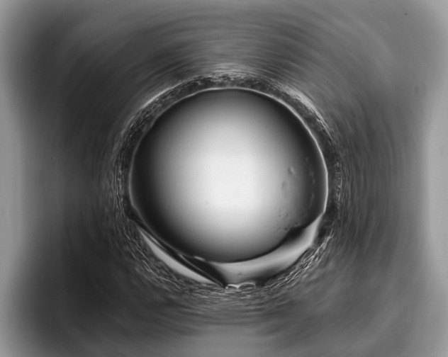 X0000096991112200802081422