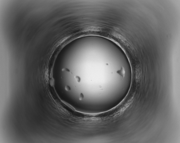 X0000096991113200802081422