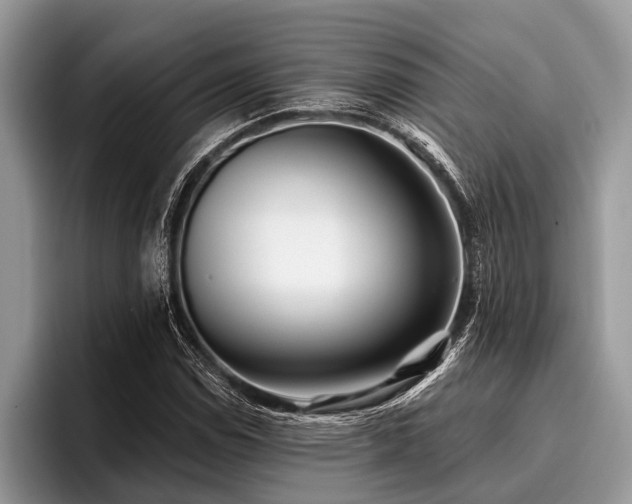 X0000096991114200802081422